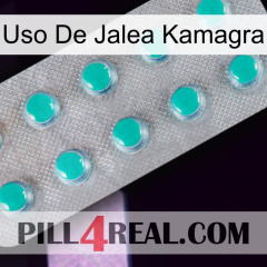 Kamagra Jelly Use 28